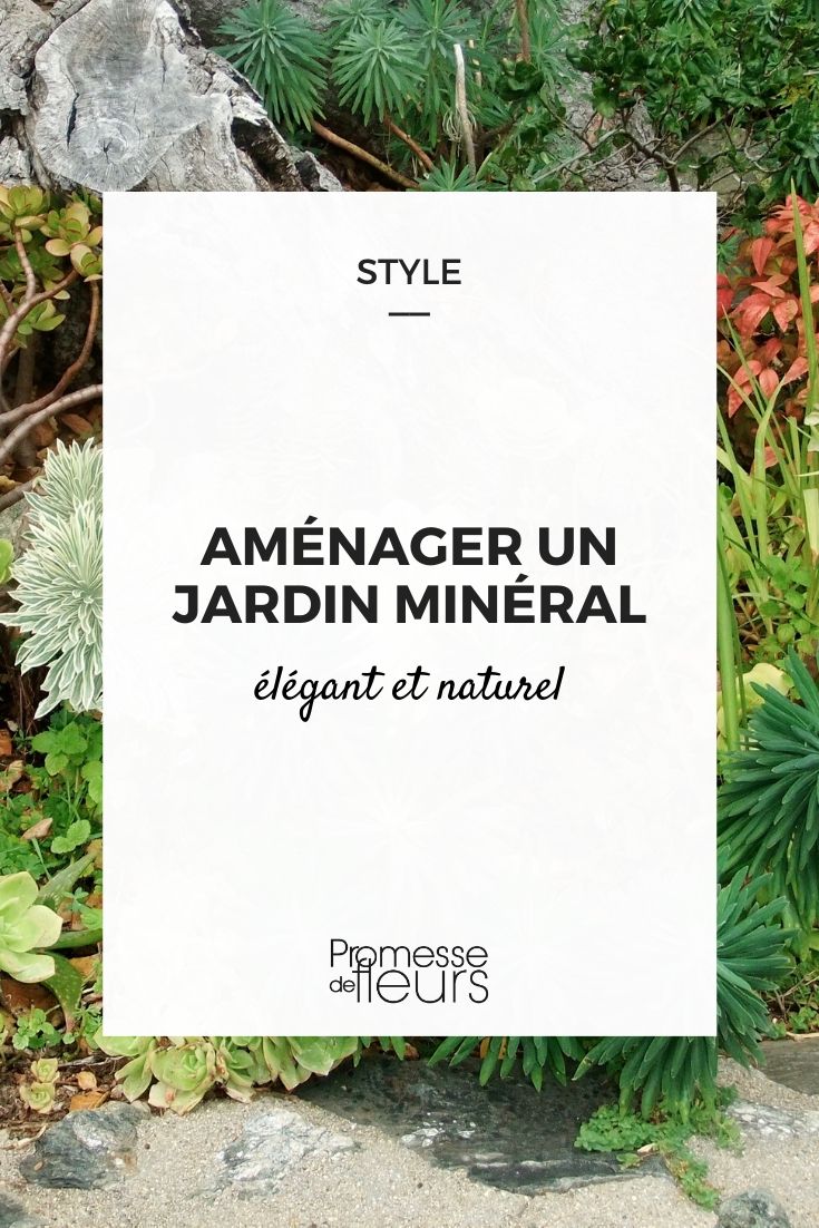 jardim mineral: como o criar