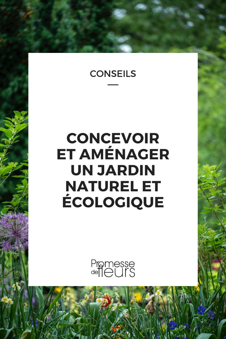 jardim natural e ecológico: conceção, escolha das plantas