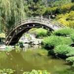 7 ideias de associação para jardim japonês