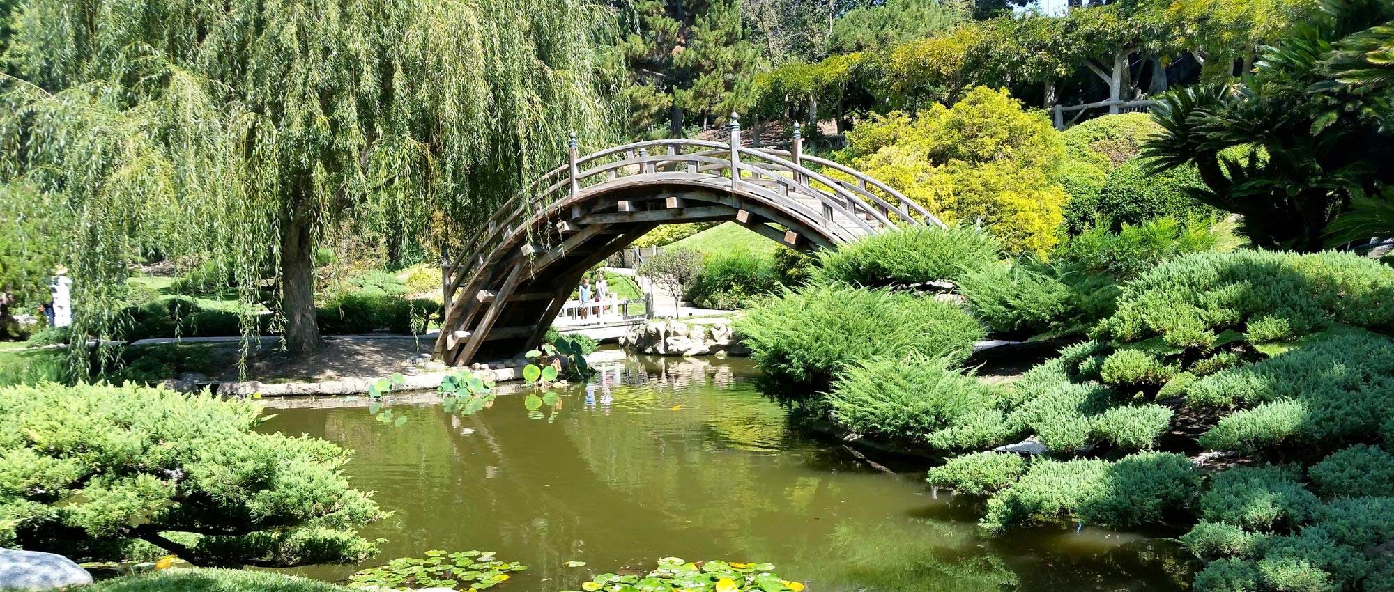 7 ideias de associação para jardim japonês