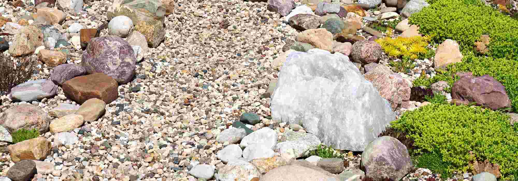 Criar um jardim mineral em cascalho
