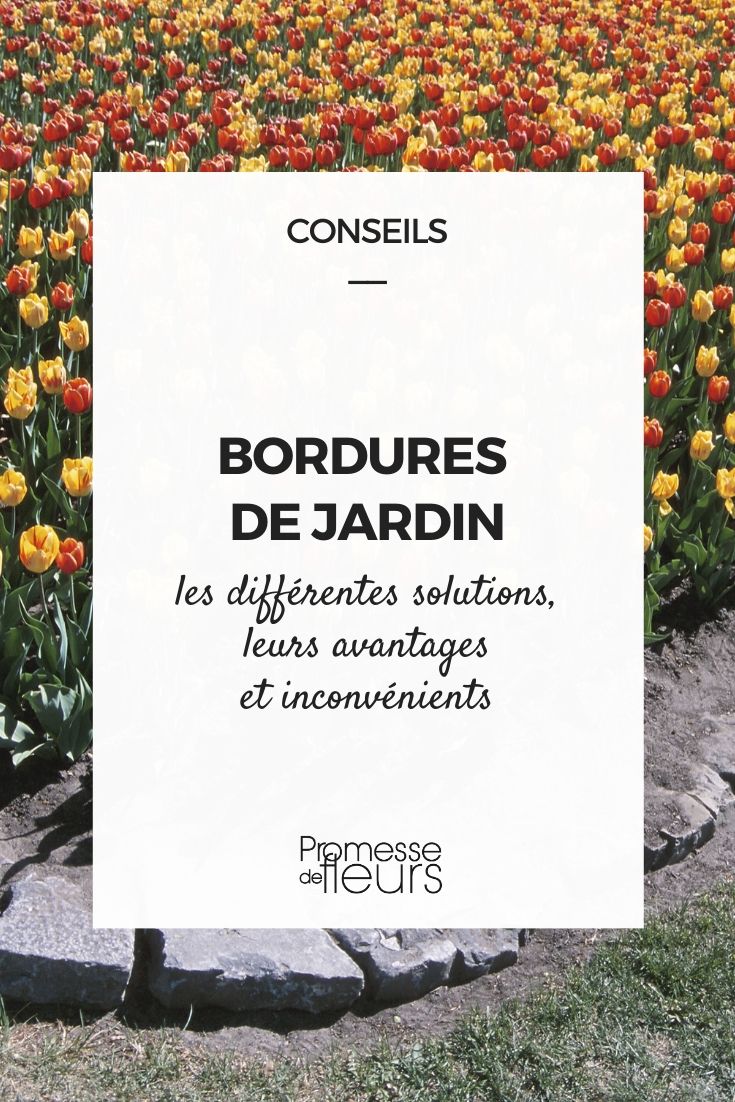 bordadura de jardim: guia para escolher bem