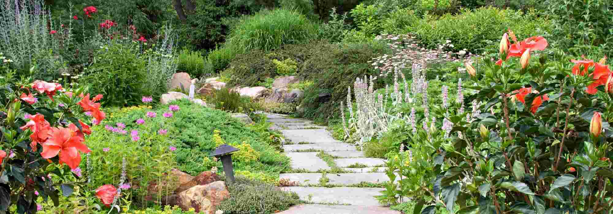 Os diferentes estilos de jardins