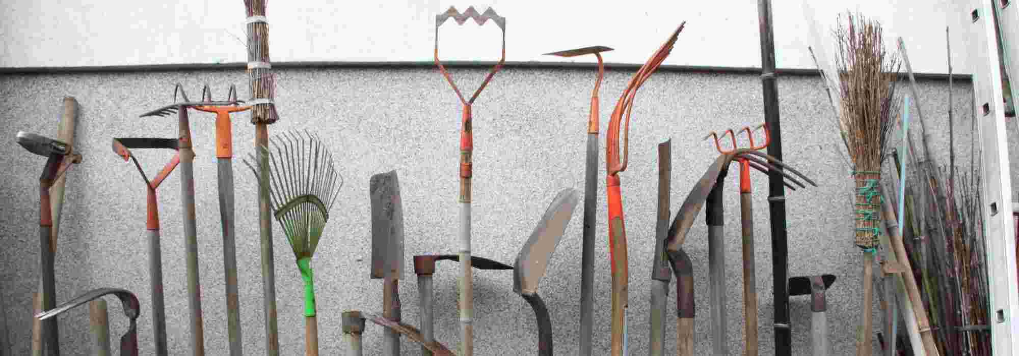 Ferramentas de jardinagem: as indispensáveis