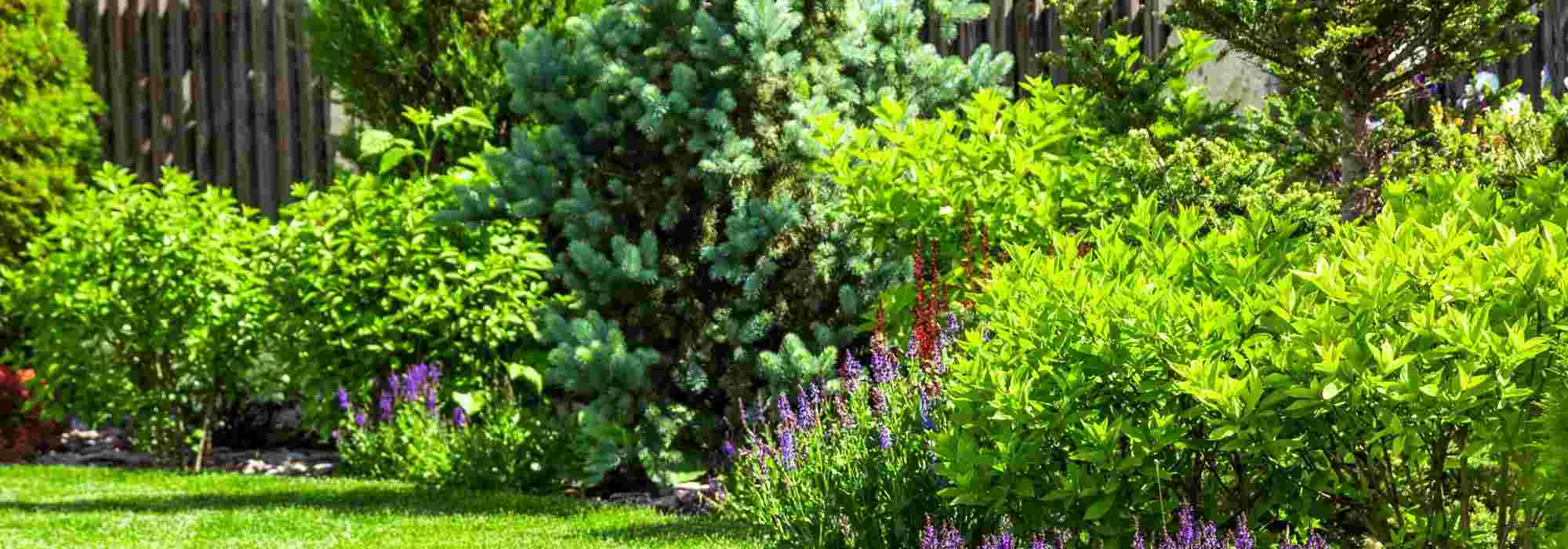 Jardim de urbanização: como o organizar e personalizar