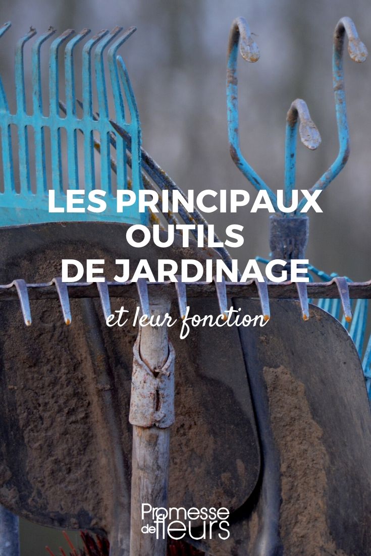 ferramentas de jardinagem: lista e utilidade no jardim