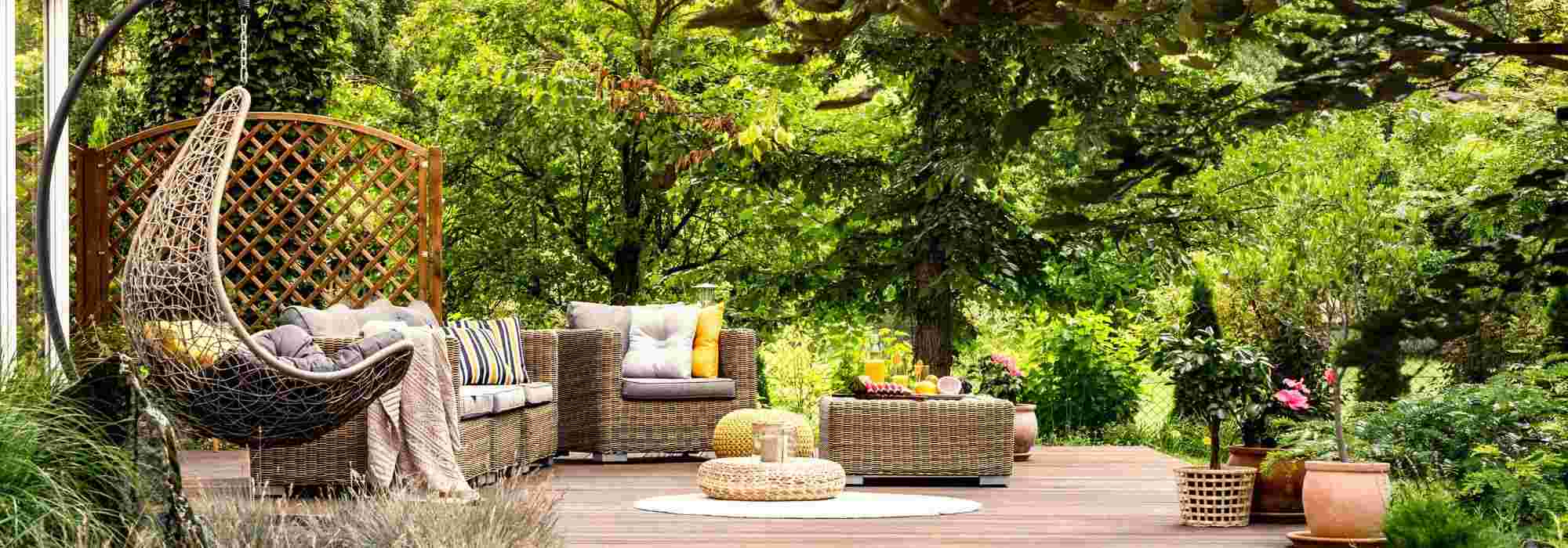 Que árvores não plantar perto de um terraço?