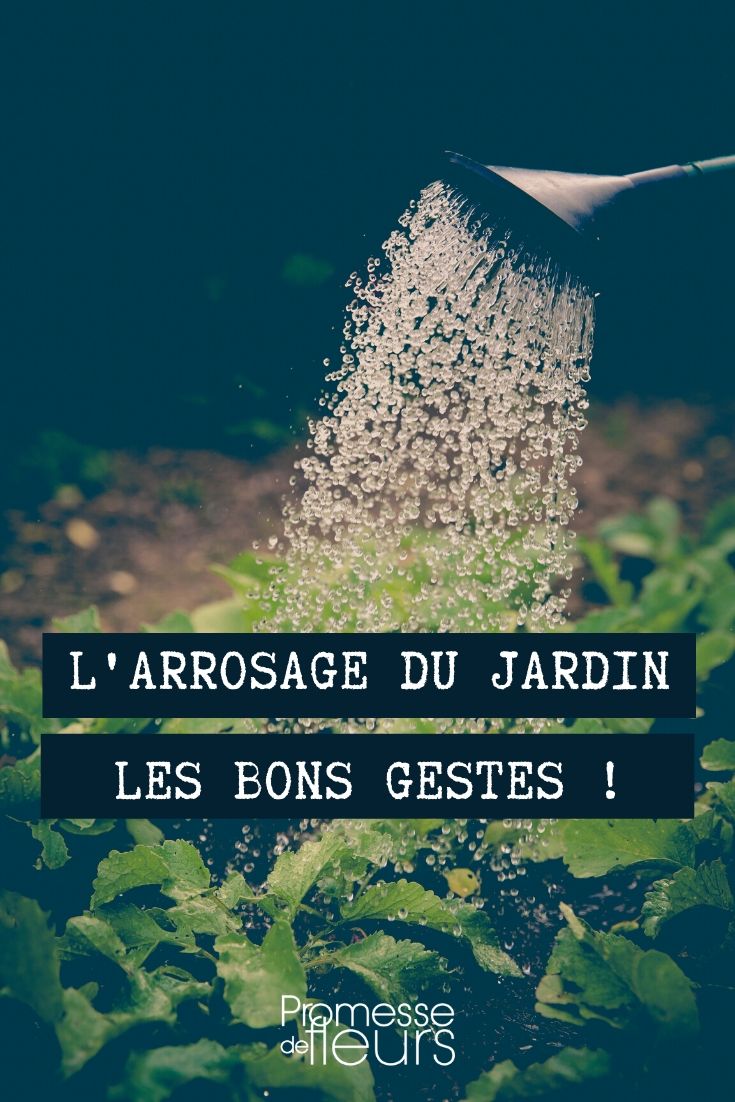 Regar o jardim, os gestos certos