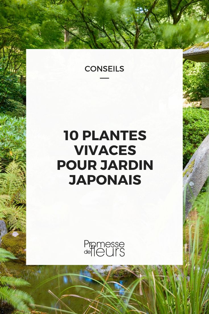 Jardim japonês: 10 plantas perenes ideais