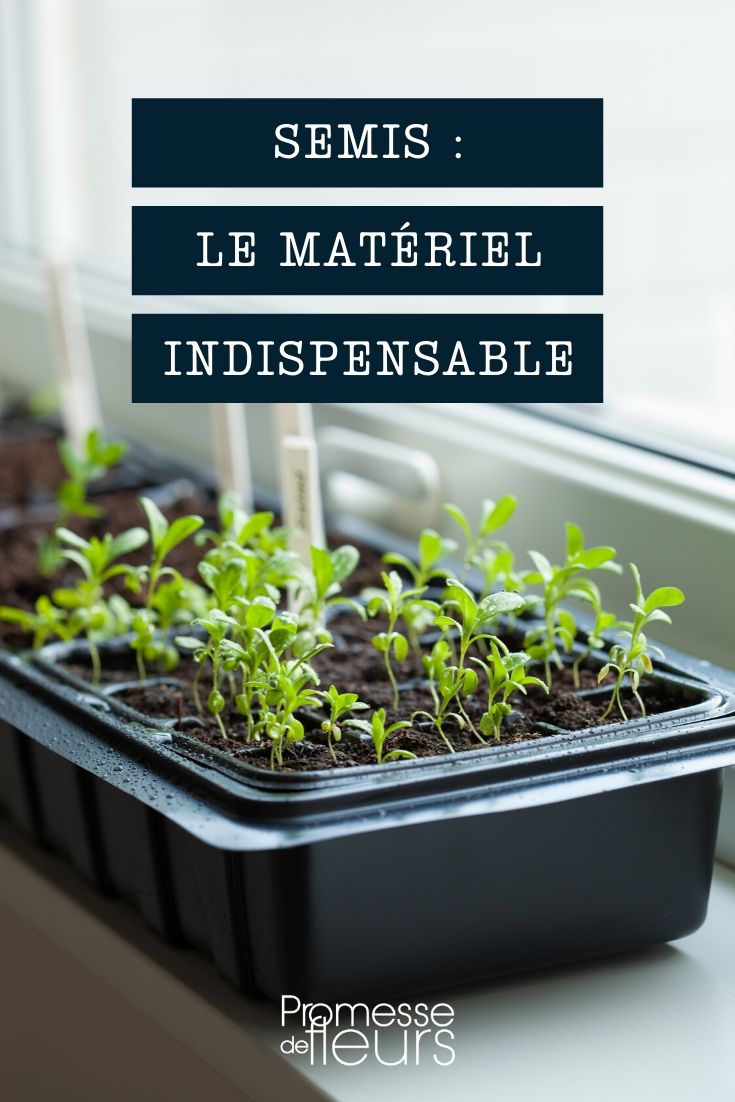 sementeira: material indispensável e acessórios úteis