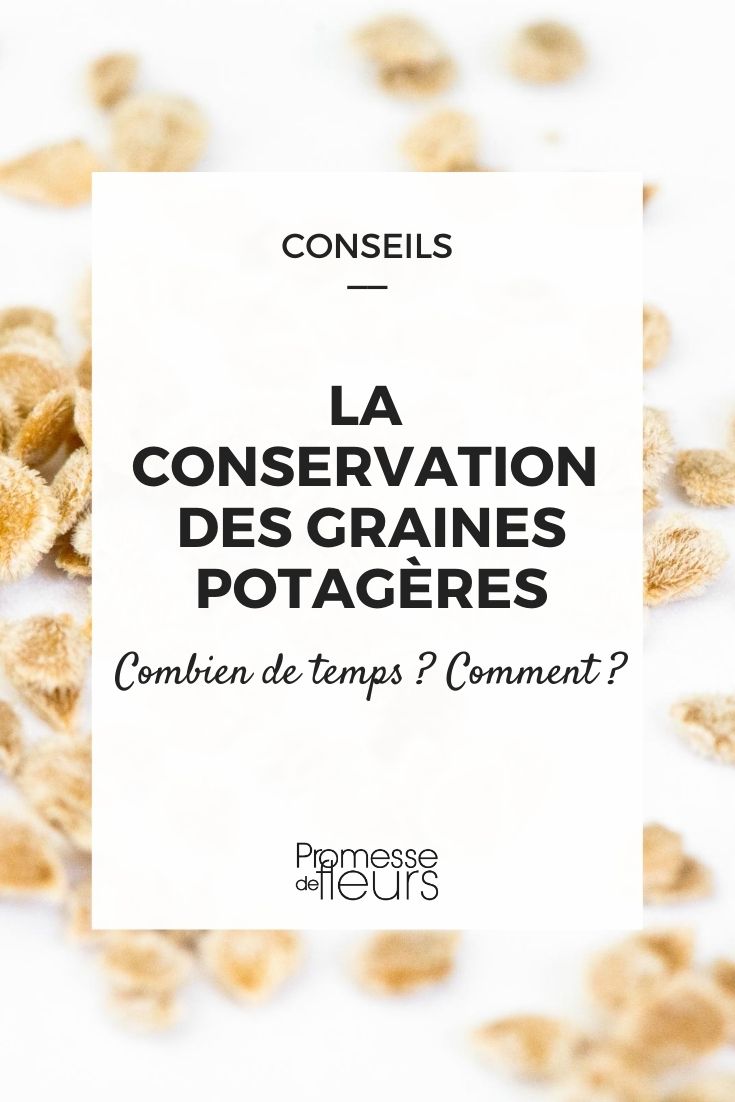 A conservação das sementes de hortícolas: Como e durante quanto tempo?