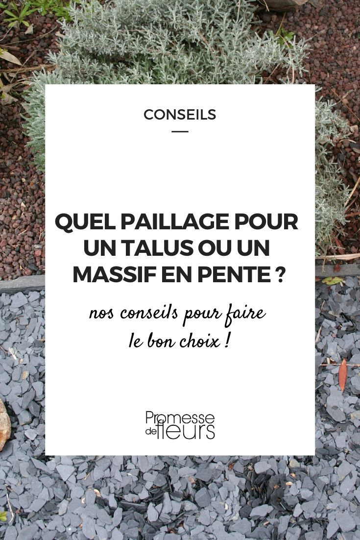 Mulch para talude: o que escolher?