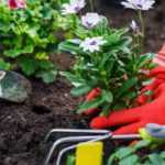 Jardinagem: como evitar acidentes?