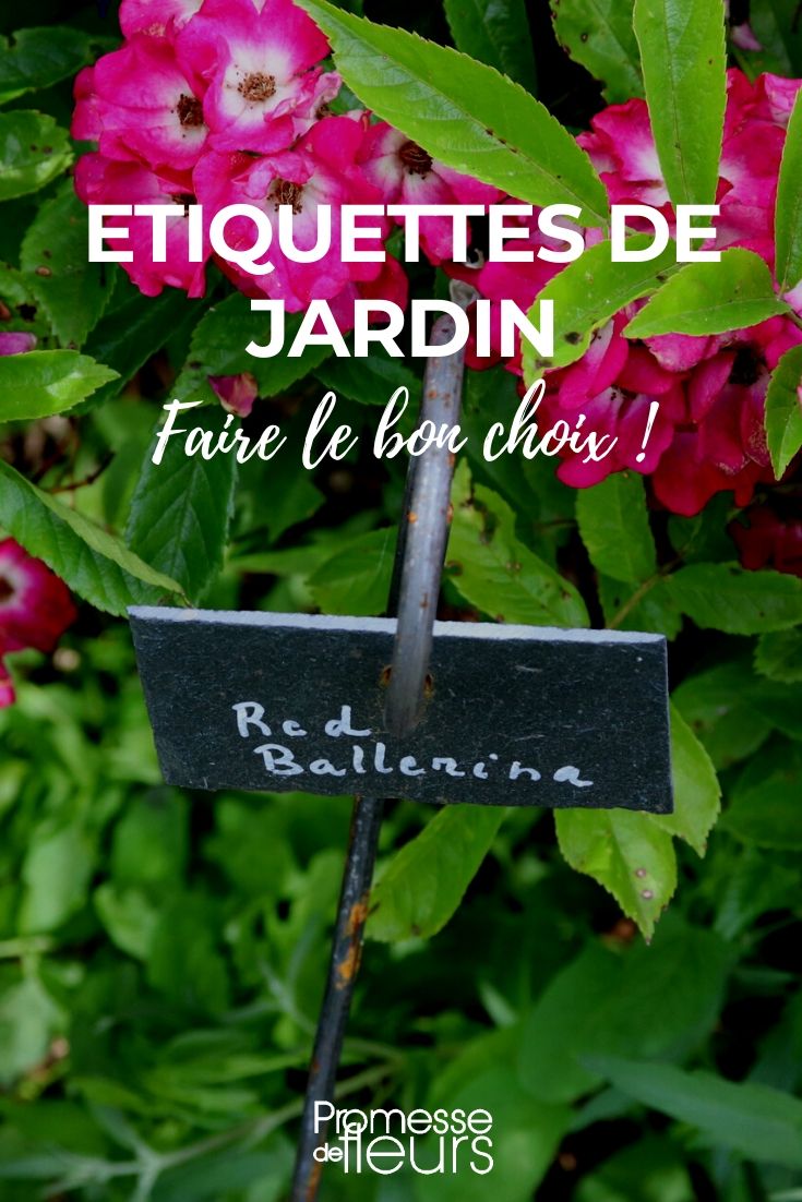 Escolher bem as etiquetas de jardim