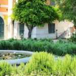 7 dicas para criar e conseguir um jardim mediterrânico