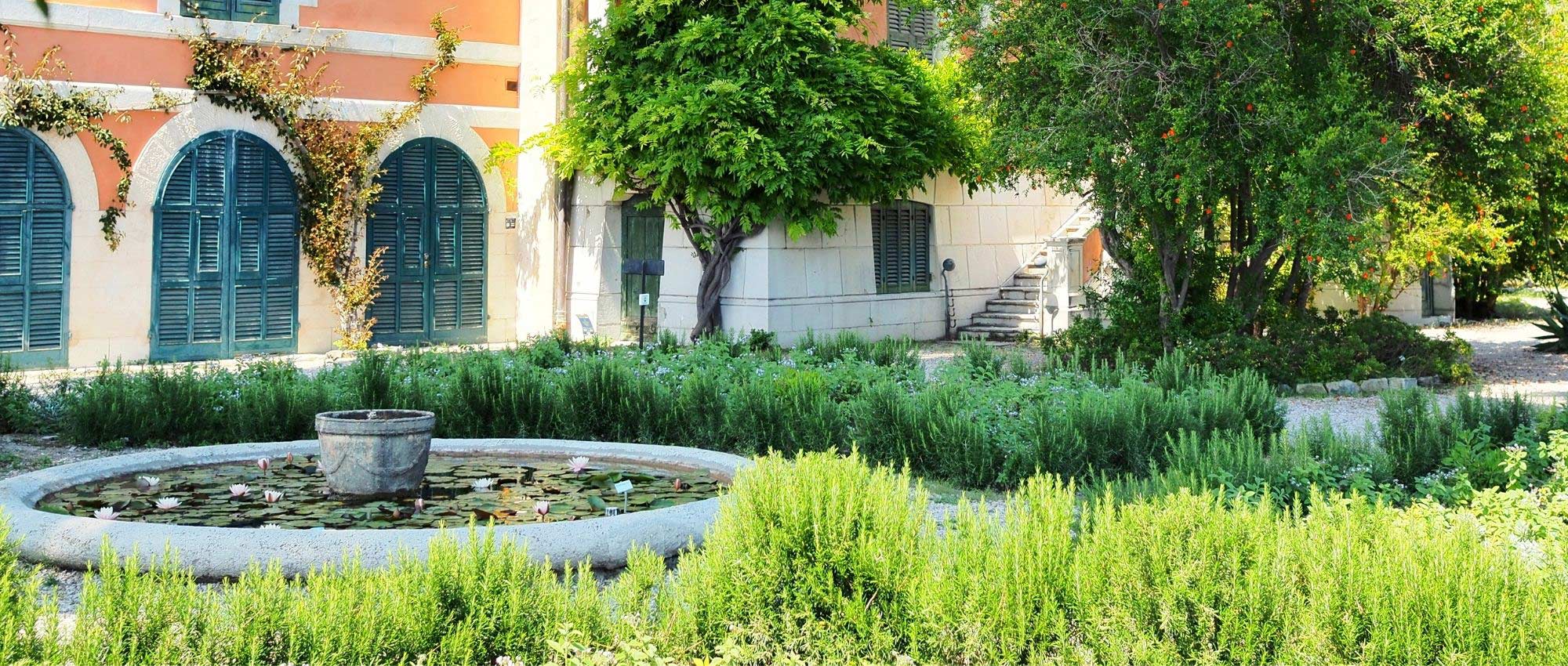 7 dicas para criar e conseguir um jardim mediterrânico
