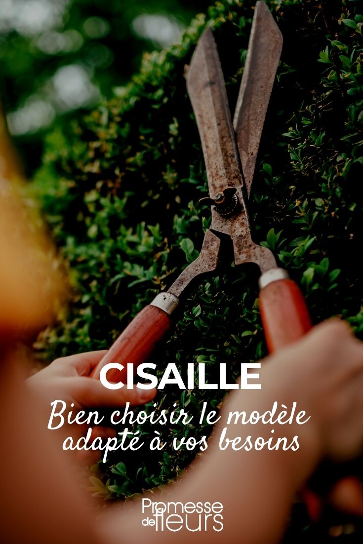 Corta-sebes, cisalha: escolher