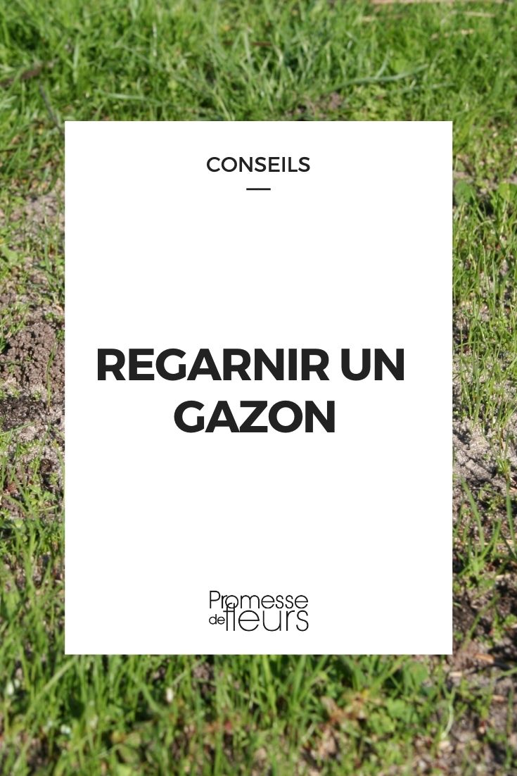 Como resembrar um relvado? Os nossos conselhos