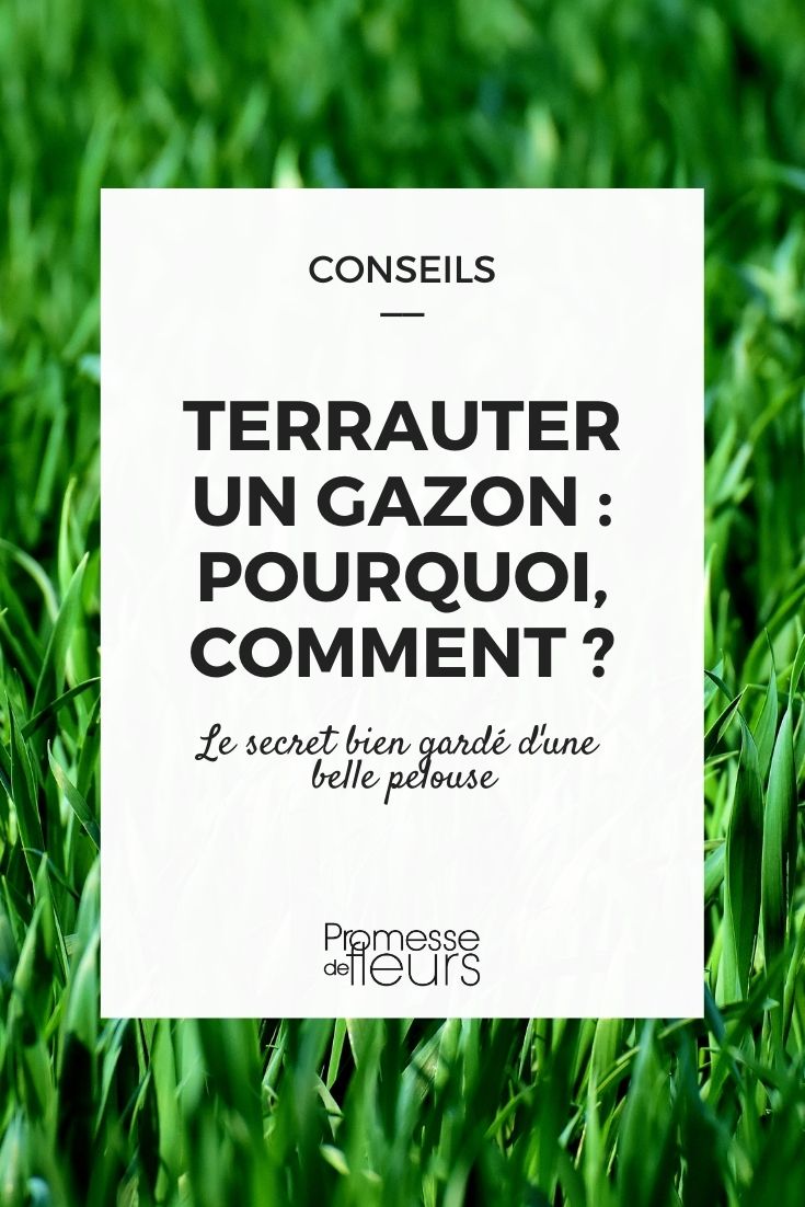 Aplicar terra vegetal no relvado