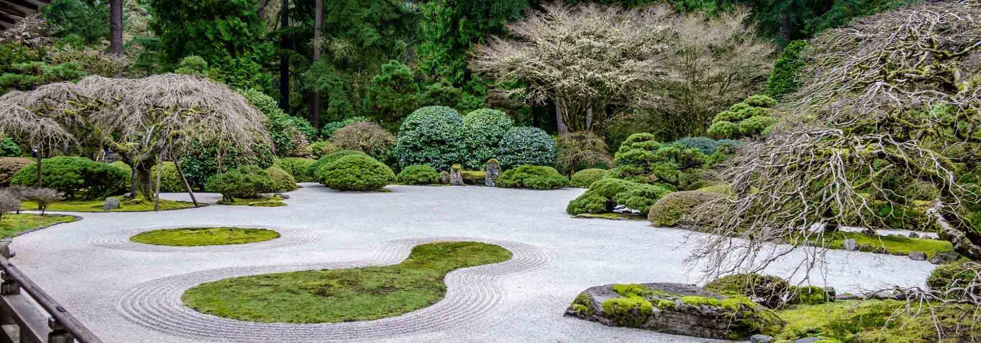 Jardim mineral: 7 arbustos ideais!