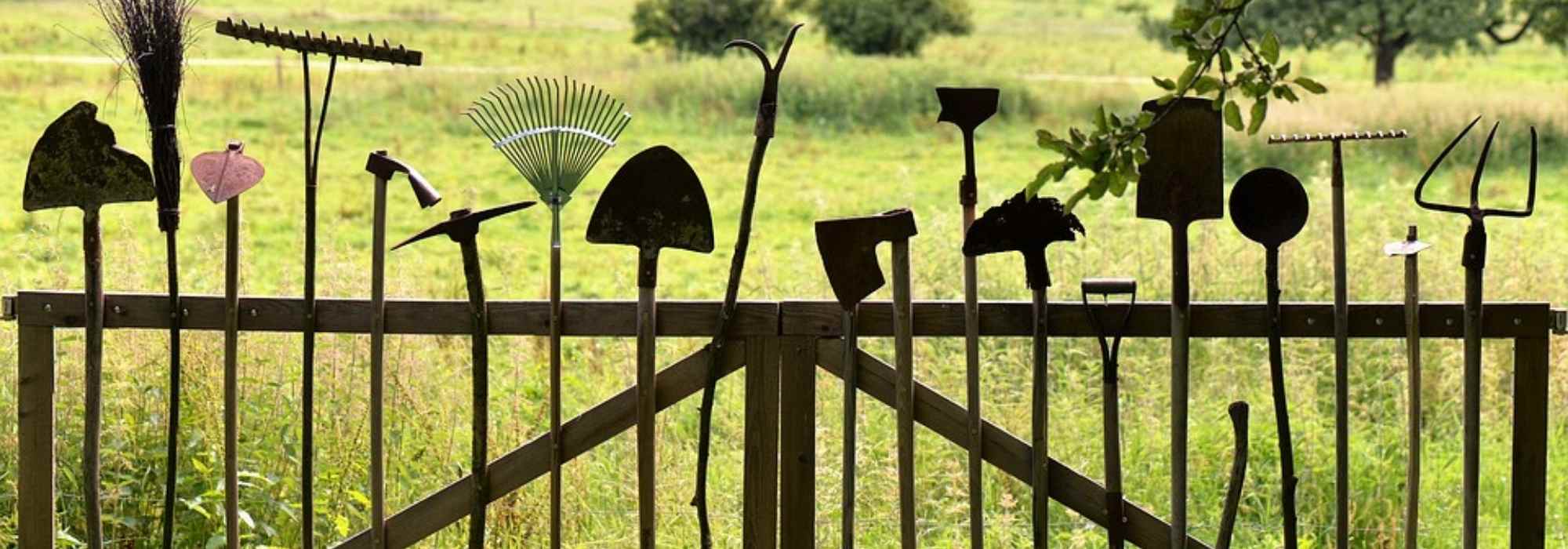 8 ferramentas indispensáveis para a horta