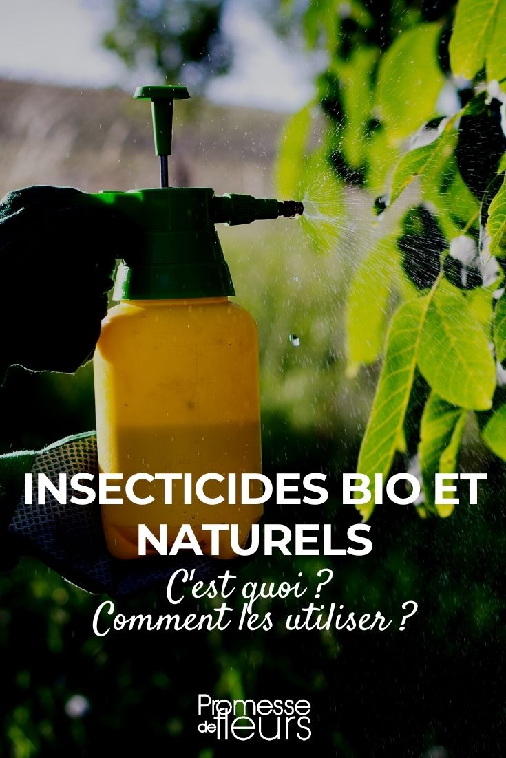 insecticidas biológicos e naturais