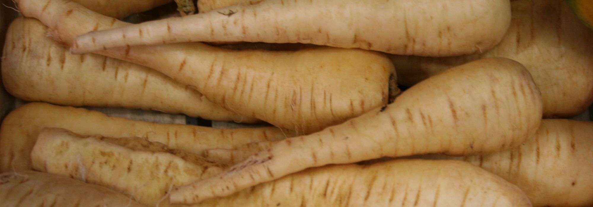 9 legumes antigos para cultivar na horta