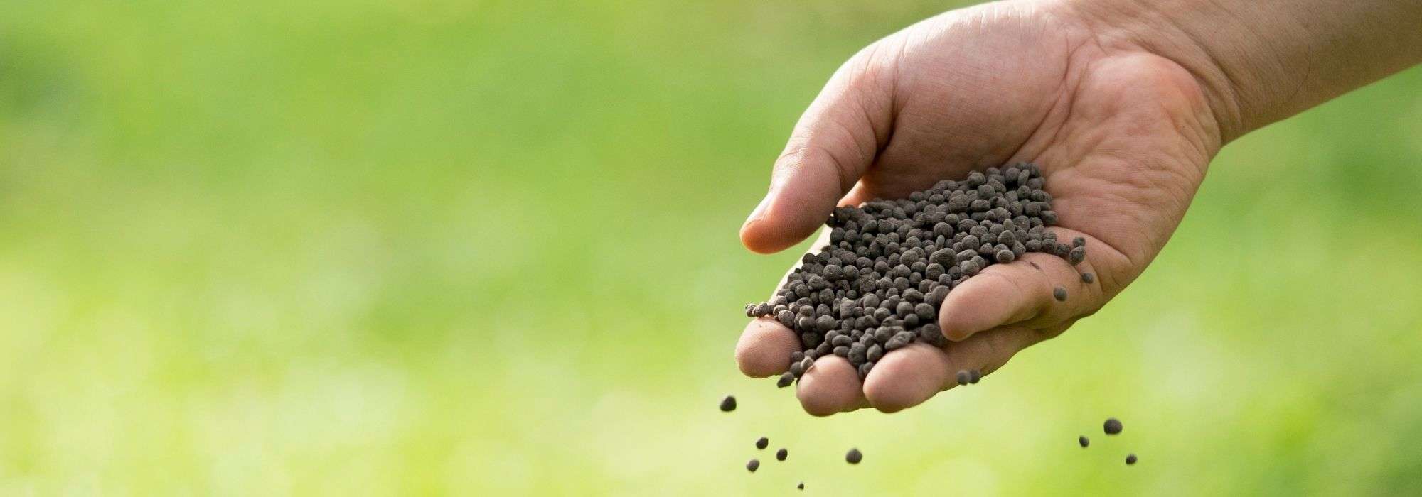 Chifre moído, sangue seco, guano… Para que servem estes adubos no jardim e na horta?