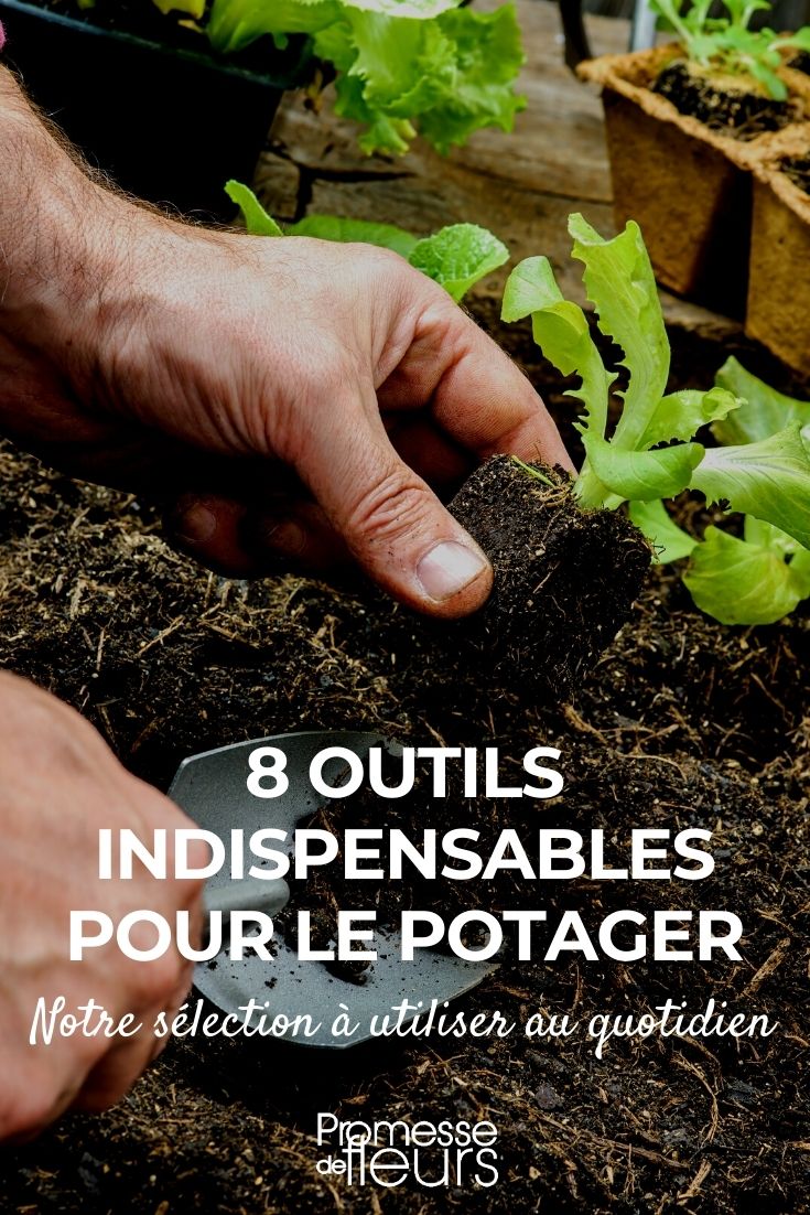 8 ferramentas para a horta