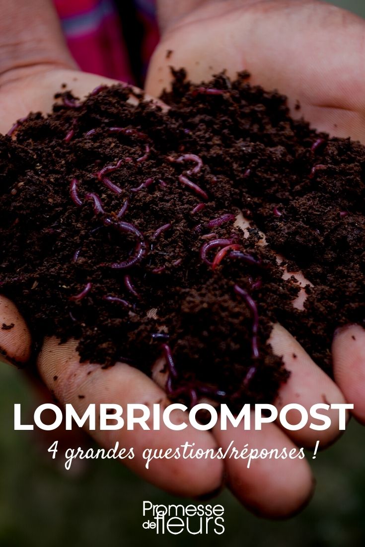 Lombricomposto