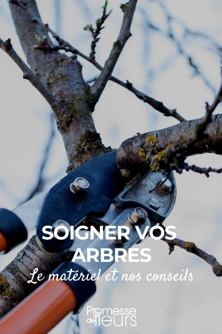 cuidar das árvores
