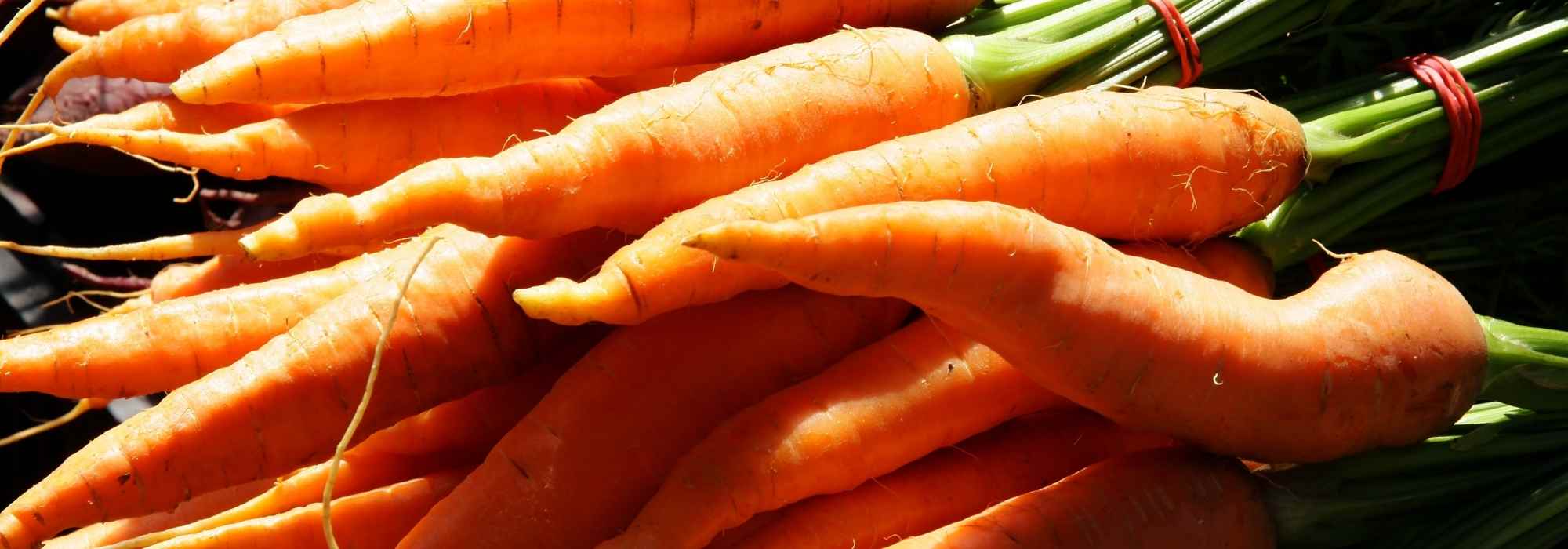 8 legumes precoces