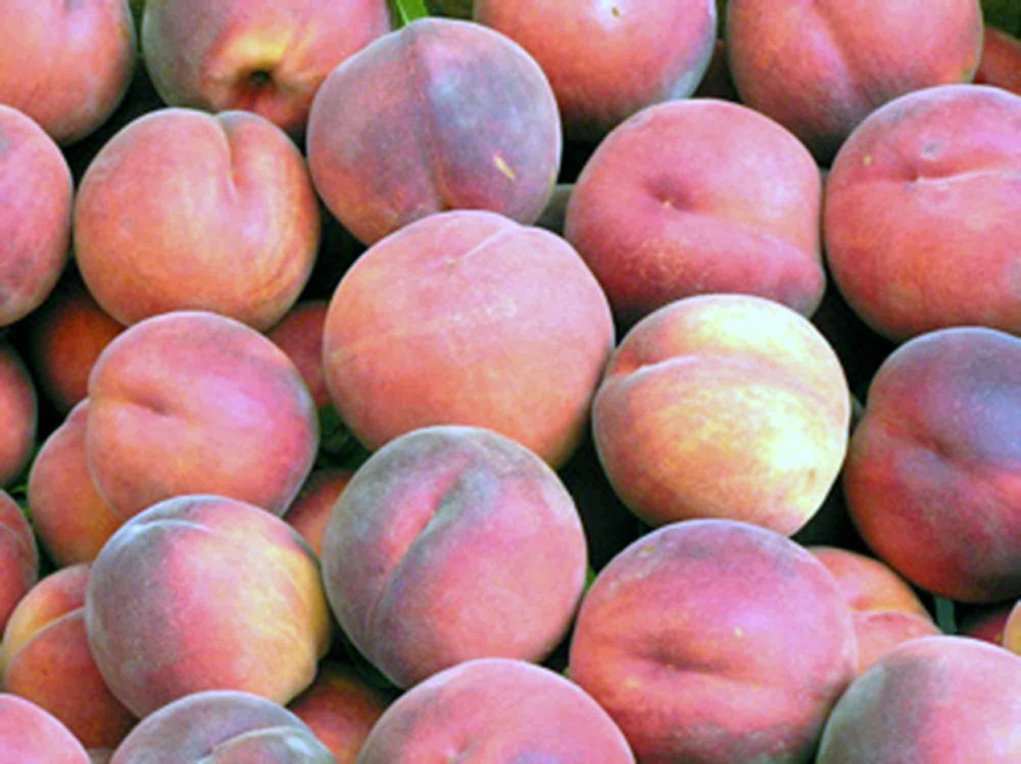Pessegueiro, Nectarineira: as melhores variedades