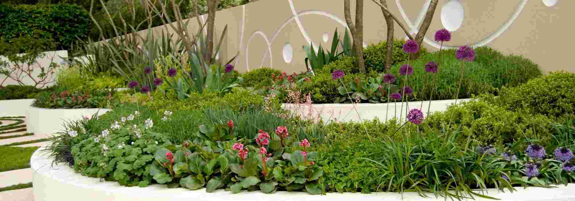 5 dicas de plantação para um jardim gráfico e moderno