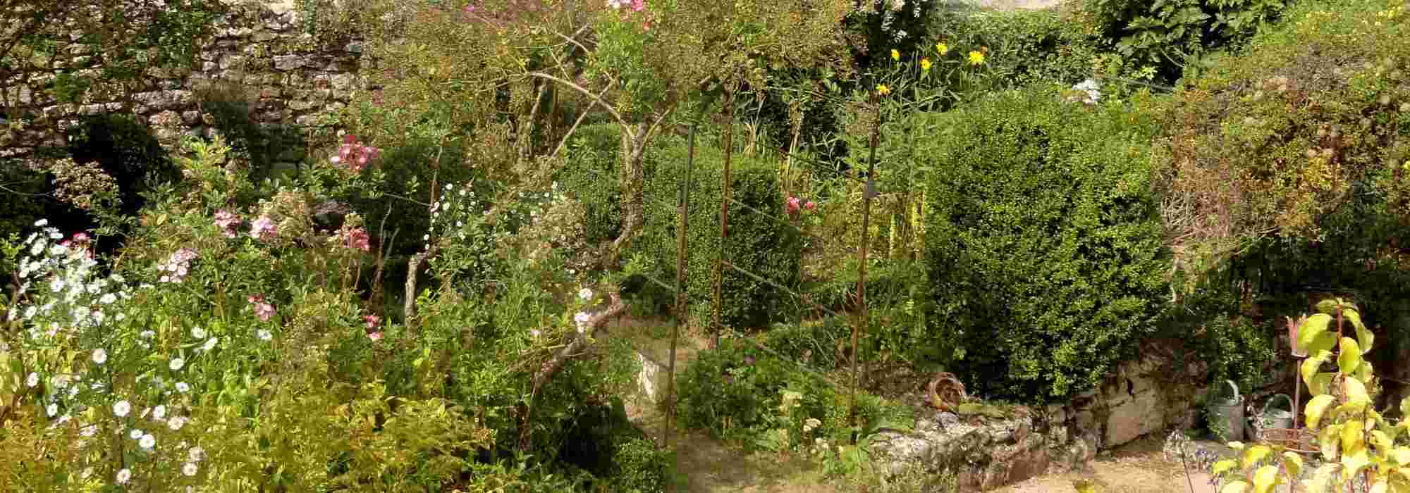 Criar um jardim monástico: os grandes princípios