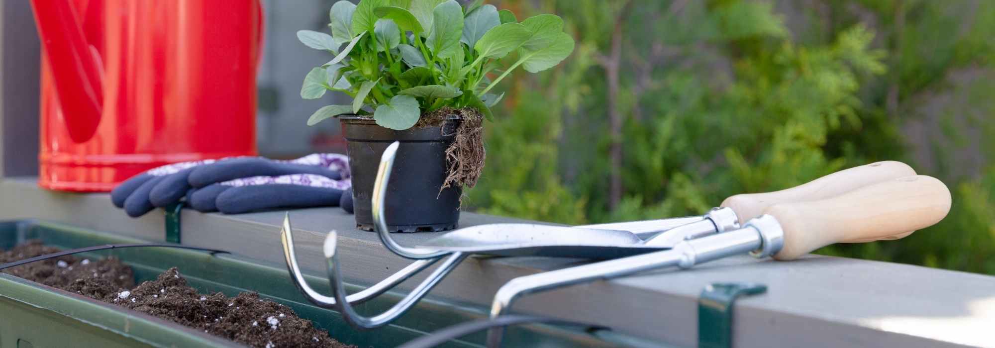 O material indispensável para jardinar na sua varanda