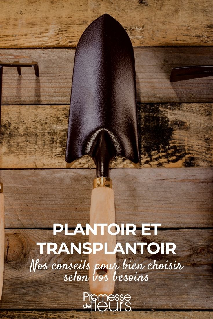 escolher plantador e transplantador