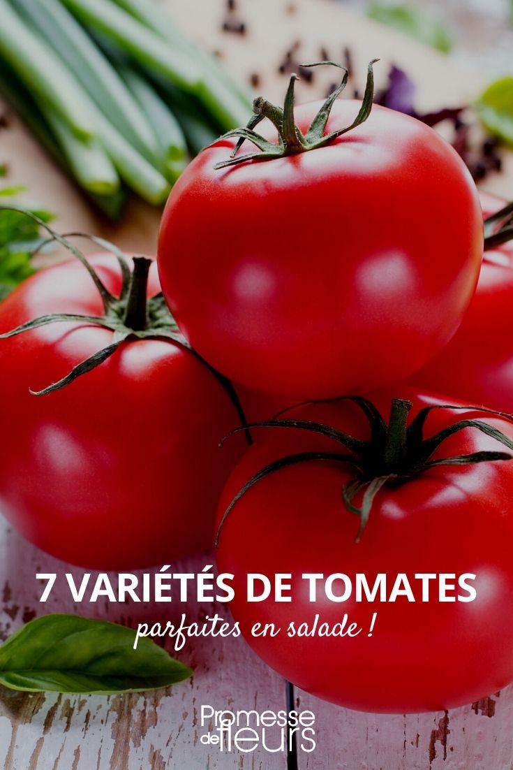 7 tomates para salada