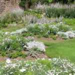 9 dicas de paisagista para criar um jardim branco