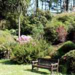 O que plantar num jardim já cheio?