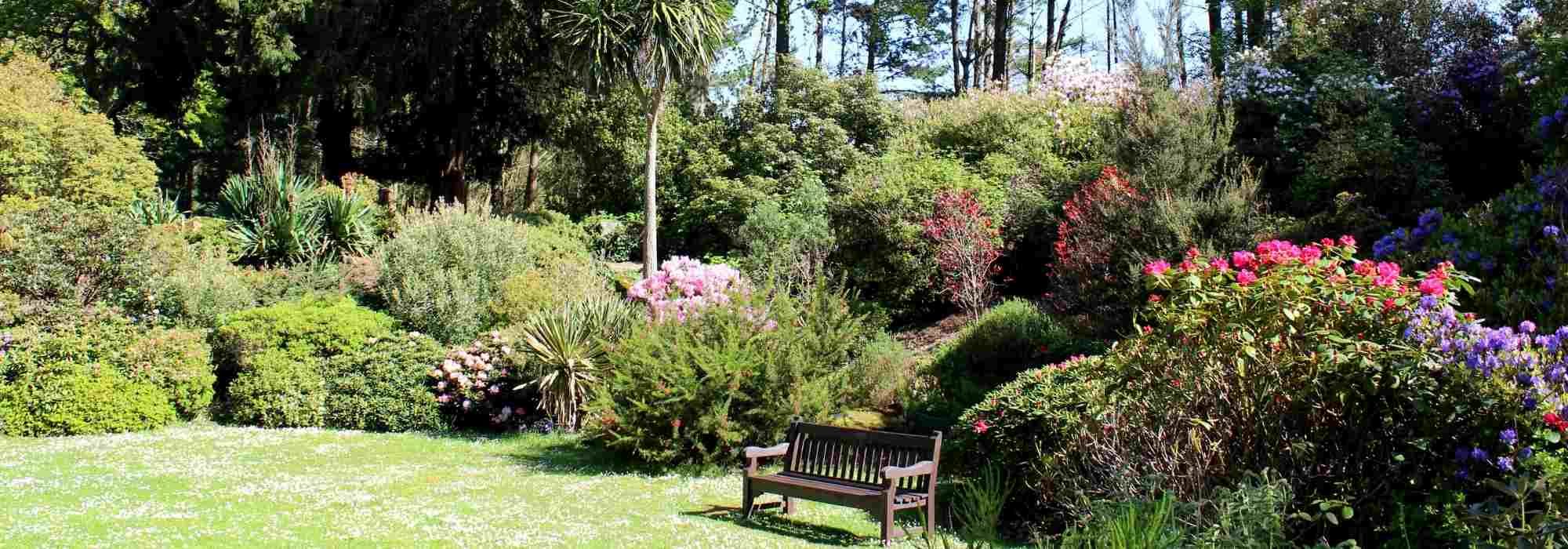 O que plantar num jardim já cheio?