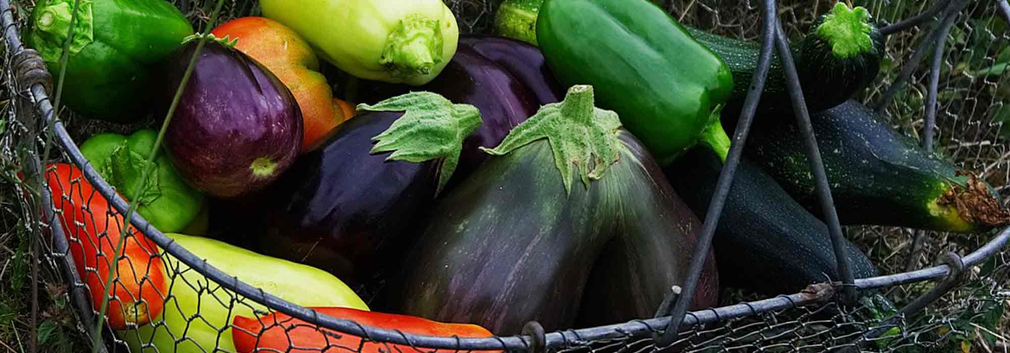 Legumes-fruto: 7 variedades indispensáveis