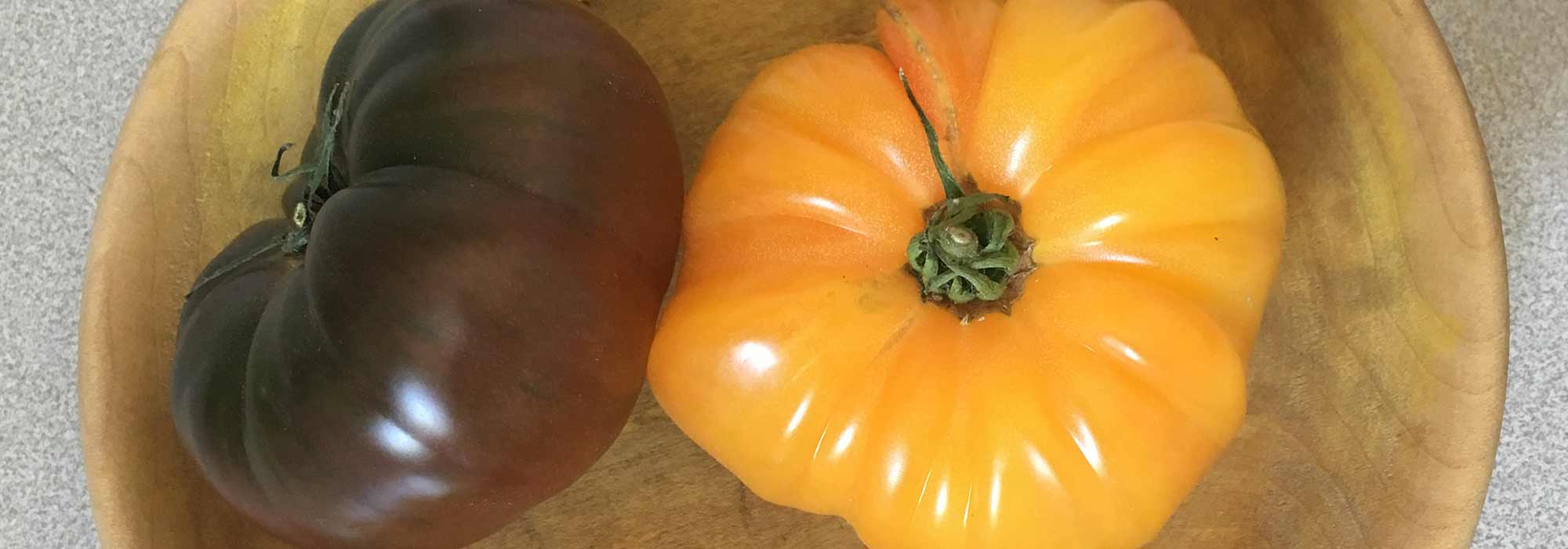 Os melhores tomates tradicionais