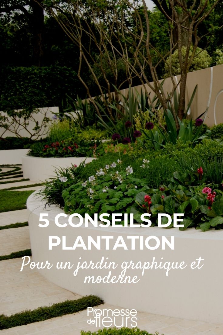 5 conselhos de plantação para um jardim gráfico e moderno