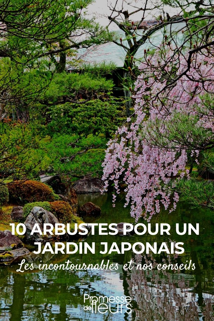 10 arbustos para jardim japonês