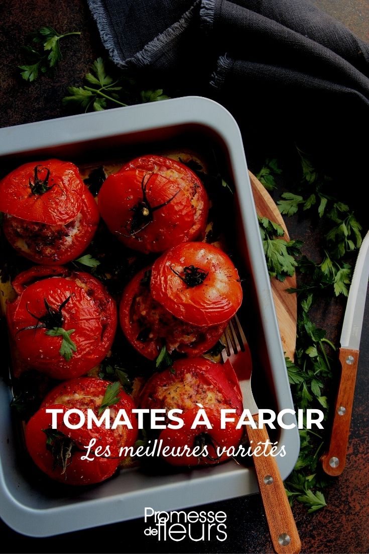 Os melhores tomates para rechear