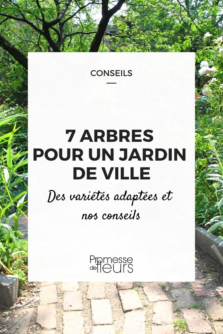 7 árvores para jardim urbano