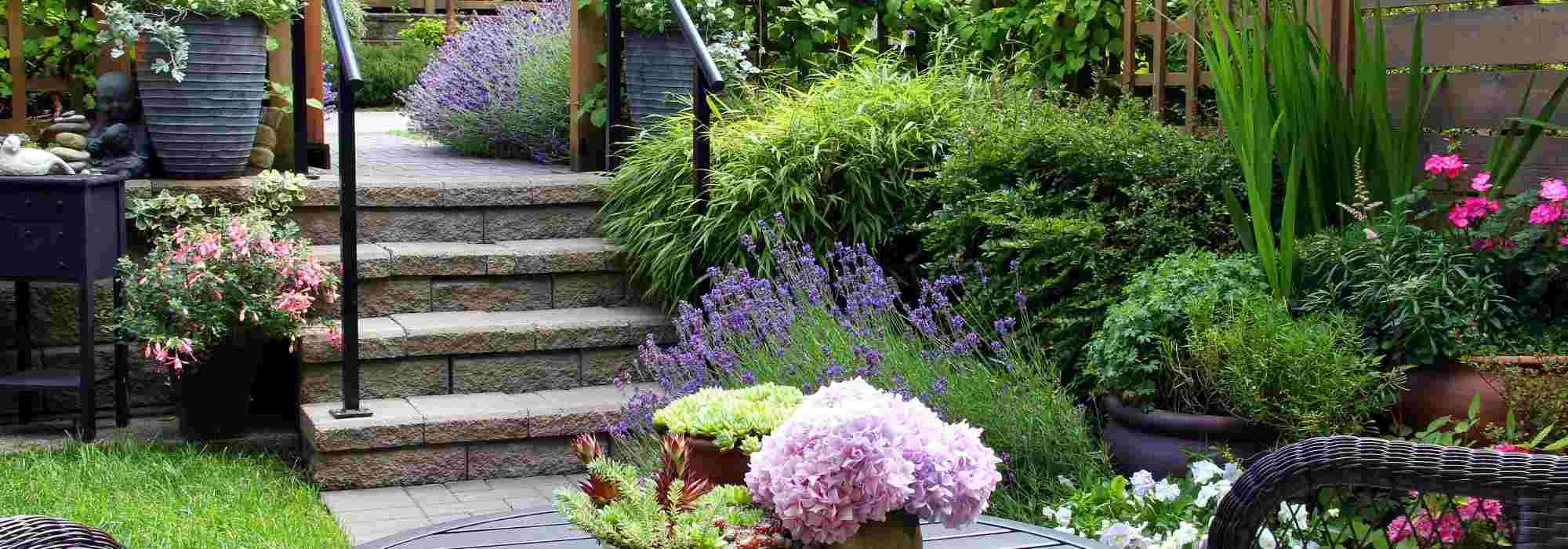 Arranjar um jardim urbano