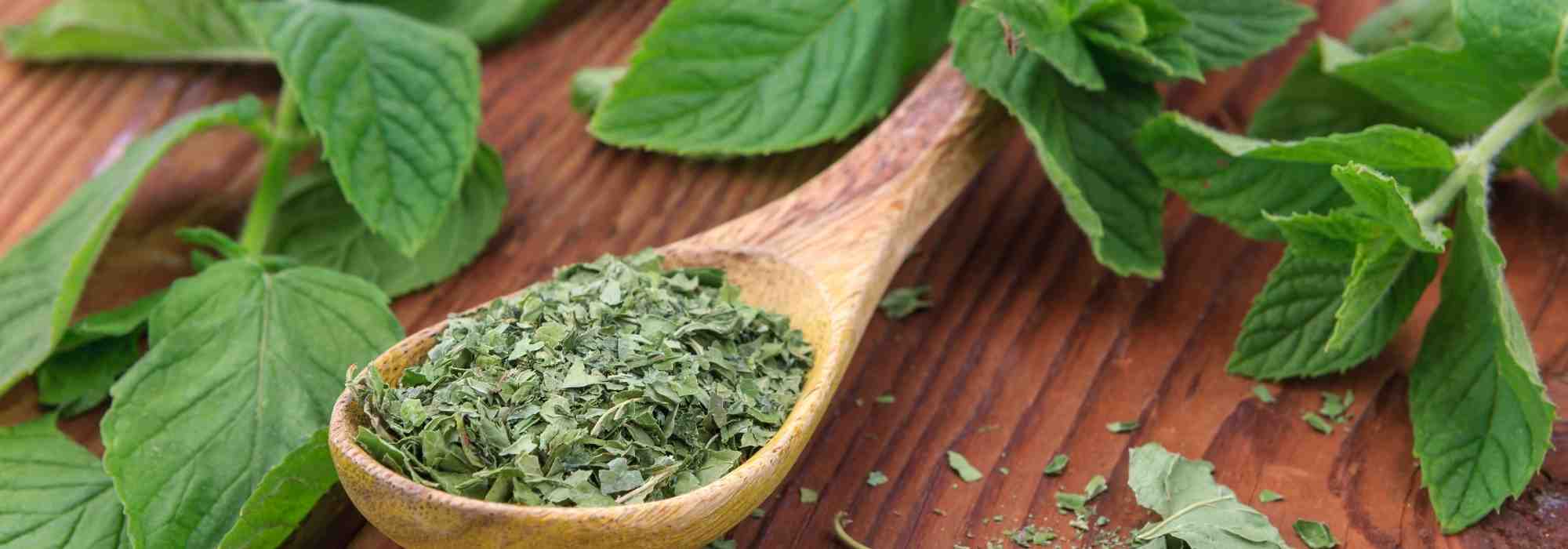 Como conservar a hortelã fresca?