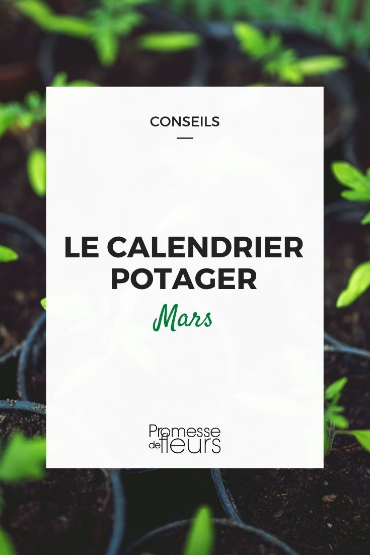 Calendário da horta em março